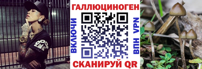 Псилоцибиновые грибы GOLDEN TEACHER  Макаров 